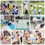 自闭症孩子如何才能融入集体教学